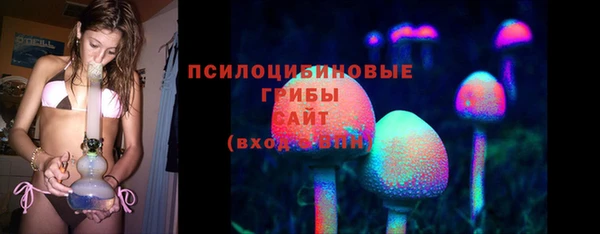 спиды Алзамай