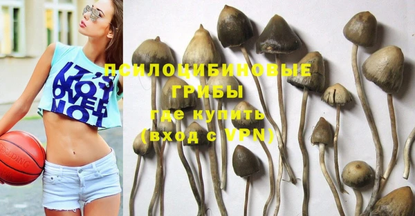 Альфа ПВП Приозерск